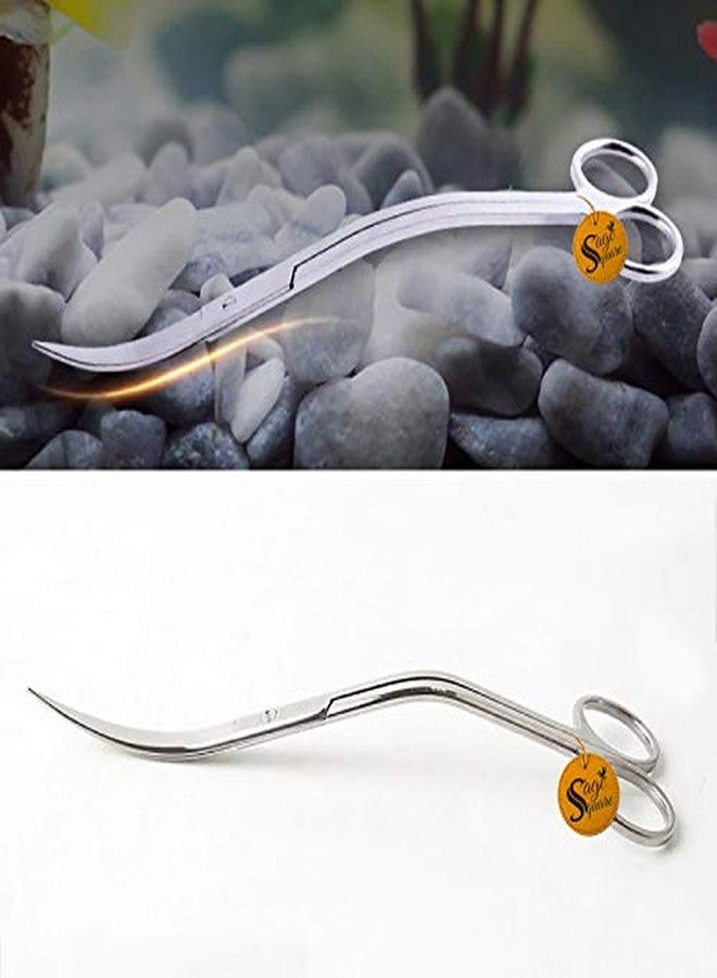 سايج سكوير مقص ملقط حوض السمك Sage Square - أداة ممتازة من الفولاذ المقاوم للصدأ لتنسيق أحواض السمك والعناية بها | مقص Wave Curve، ملقط تنسيق، تقليم النباتات، وضع النباتات المائية - Image 4